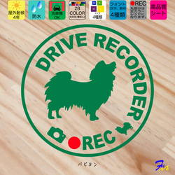 ドライブレコーダー パピヨン  07 ステッカー 1枚目の画像