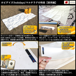 マルチラグ 日本製 hobidays 洗える サステナブル帆布 カーペット ブランケット テーブルクロス 絨毯 レジャー 4枚目の画像