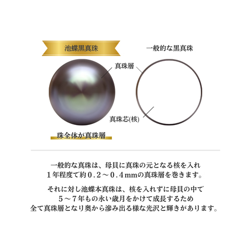 黒真珠○人気No.1｜お盆限定クーポン有】送料無料｜鑑別書付｜池