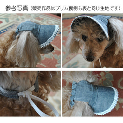 【M 4㎏前後の小型犬用】犬の帽子*cotton刺繍レース　オフホワイト（白ゴム） 3枚目の画像