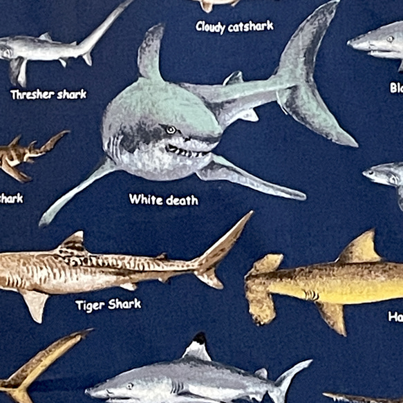 大きめサイズ　サメ好きすぎレッスンバック　ネイビー/11号帆布ブルー切替　35×45 ループからバッグ底35cm対応 2枚目の画像