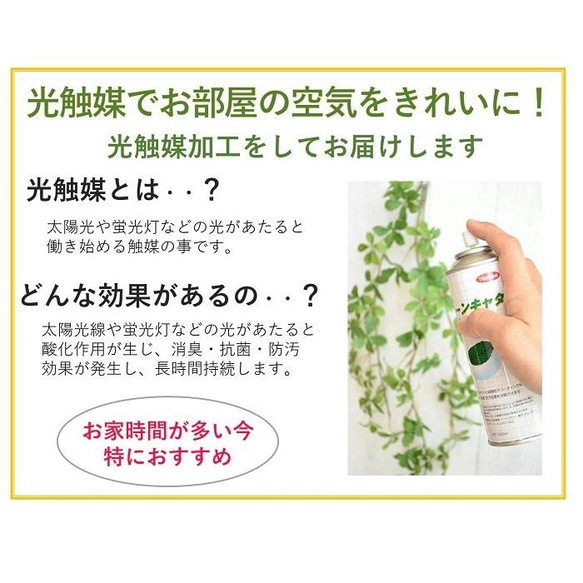【予約販売】【早割り】【母の日】  フェイクグリーン　６００円OFF　光触媒加工  モンステラ 造花  観葉植物 8枚目の画像