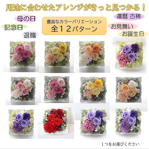 当日配達可 【母の日】全12色 母の日 プレゼント カーネーション