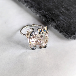 猫ラグ·ドール cat crystal ブラックダイヤモンドネコneko-Jewelリング/ピンバッジ変更可 2枚目の画像