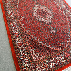 228×152cm【ペルシャ 手織り絨毯 ビジャー 】　 12枚目の画像