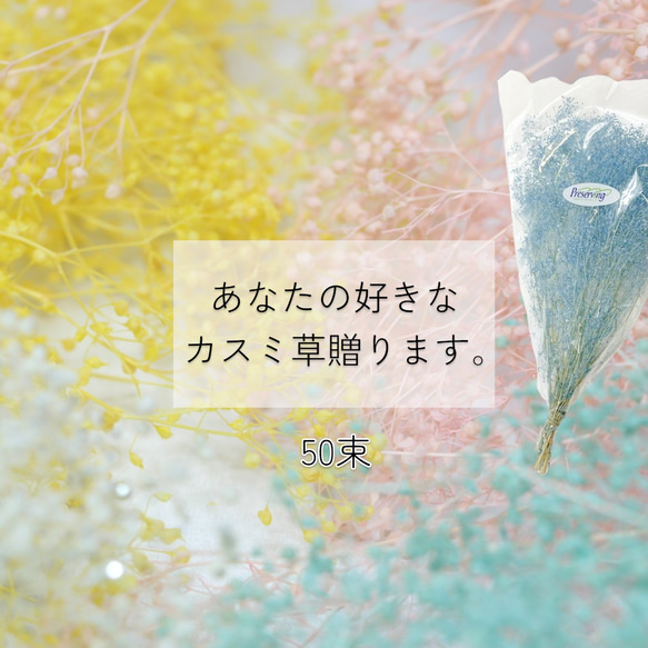 大地農園 「あなたの好きなカスミ草50束分贈ります」 プリザーブドフラワー 詰め合わせ kasumi カスミ草 花材 1枚目の画像