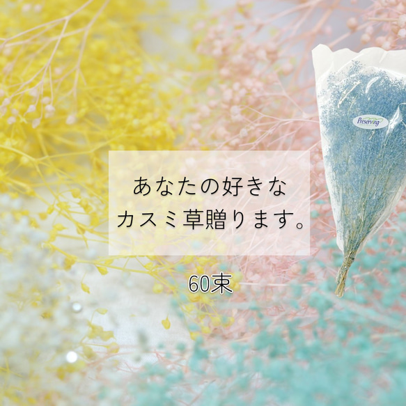 大地農園 「あなたの好きなカスミ草60束分贈ります」 プリザーブドフラワー 詰め合わせ kasumi カスミ草 花材 1枚目の画像