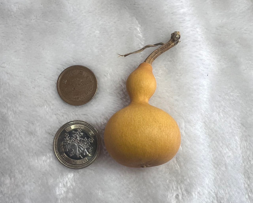 冬の感謝セール ヒョウタン、瓢箪、文遊びひょうたん【JST】163754/4.7g その他 ラグ・カーペット