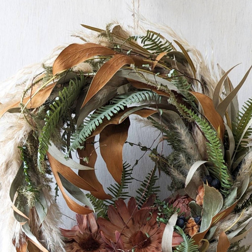 専用感謝sale＊大輪サルフレア＆グレビレア  　ドライフラワーリース 大輪サルフレア＆グレビレア ドライフラワーリース ドライフラワー fu