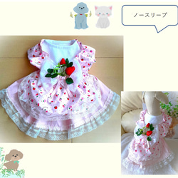 犬服ワンピース いちごのエプロンワンピース／いちご飾り付き