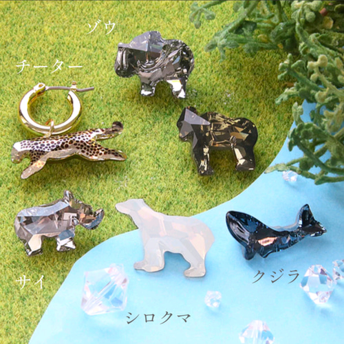 スワロフスキー SCS会員限定 ヒヤシンスマコー スミレコンゴウインコ