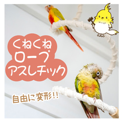 （オーダーページ）ハンドメイド インコさんのぐるぐるロープパーチ オーダーページ）ハンドメイド インコさんのぐるぐるロープパーチ