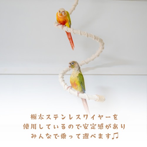 インコちゃんの✩.*˚くねくねロープアスレチック 小型〜中型さん向け