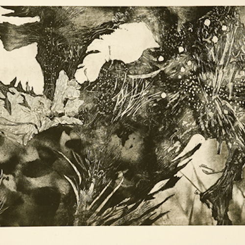 永井雅人銅版画作品 「花ざかりのように」大型モノクローム作品 永井雅人銅版画作品 「花ざかりのように」大型モノクローム作品