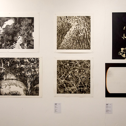 永井雅人銅版画作品 「花ざかりのように」大型モノクローム作品 永井雅人銅版画作品 「花ざかりのように」大型モノクローム作品
