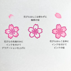 桜の花と花びらの消しゴムはんこセット 2枚目の画像