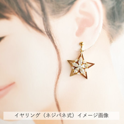 上品さと、確かな存在感・主役級アクセサリー～THE STAR EARRINGS～(イヤリング・シルバー) 6枚目の画像