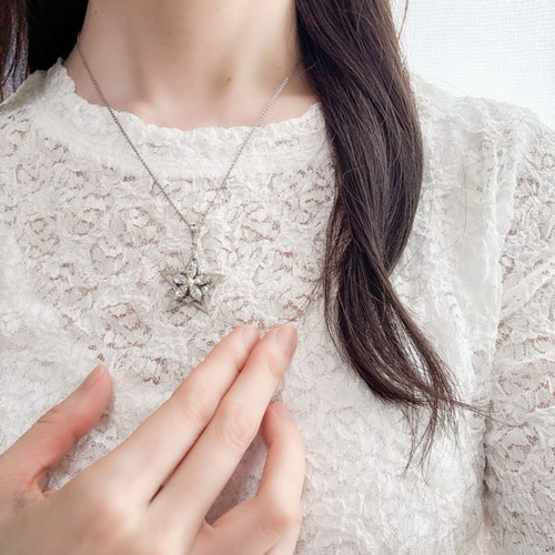 THE STAR～確かな存在感・主役級インスタ映えアクセ(ネックレス