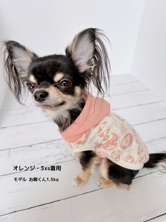 【超小型犬服】マスクマン・タンクトップパーカー 4枚目の画像