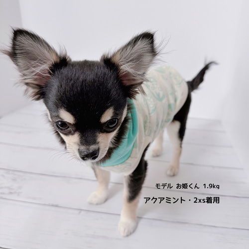 犬服M ハンドメイドドッグウェア　小型犬　タンクトップパーカー 犬服M ハンドメイドドッグウェア小型犬タンクトップパーカー