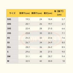  第6張的照片