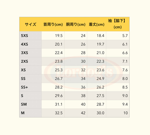  第6張的照片