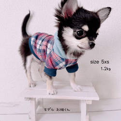 【超小型犬服】タータンチェックパーカー・杢ネップ裏毛 1枚目の画像