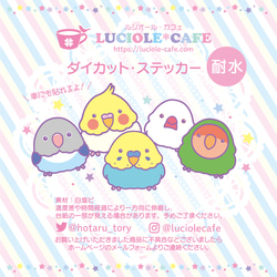 モモイロインコ＊耐水ステッカー 3枚目の画像