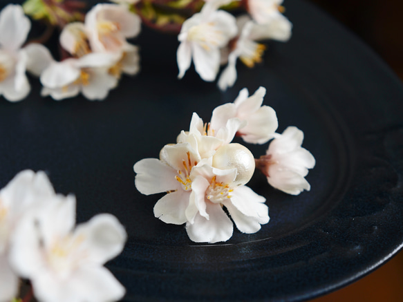 【コサージュ・ブローチ】桜 ソメイヨシノ コットンパール 3枚目の画像