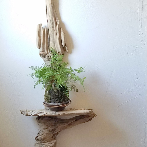 流木 縦型 約99cm 壁掛け キャンドルホルダー キャンドルスタンド エア