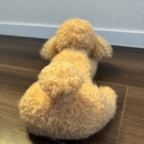 おとママ羊毛フェルト アプリコットトイプードル よく見るポーズ