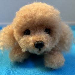 羊毛フェルト トイプードル（アプリコットちゃん） 羊毛フェルト
