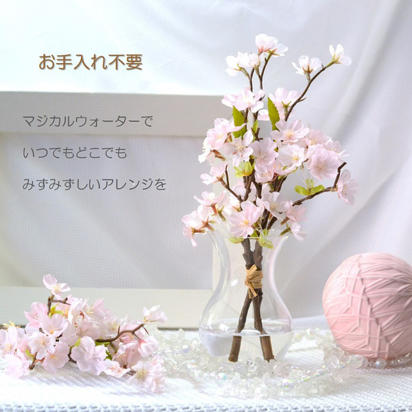 マジカルウォーター　桜　サイズ約3０cm 桜アレンジ さくら　サクラ　ガラス　春の贈り物　sakura　造花　光触媒 1枚目の画像