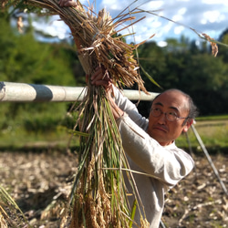 【田んぼの珈琲】ノンカフェイン　籾付き黒焼き玄米珈琲　お湯を注ぐだけ 約10〜15杯分　冷え症体質改善　妊婦　経産婦 7枚目の画像