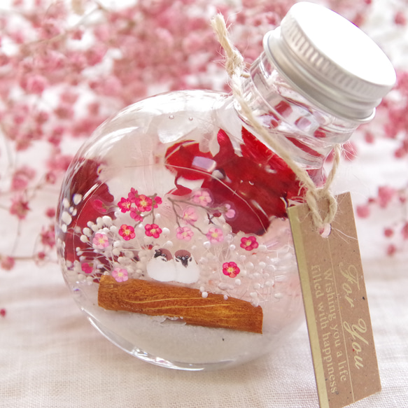 【新作！選べるどうぶつ 】シアワセの瓶ヅメ～梅の香りの木の下で　早春の梅の香り降り注ぐ、動物たちの可愛らしい春景色 1枚目の画像