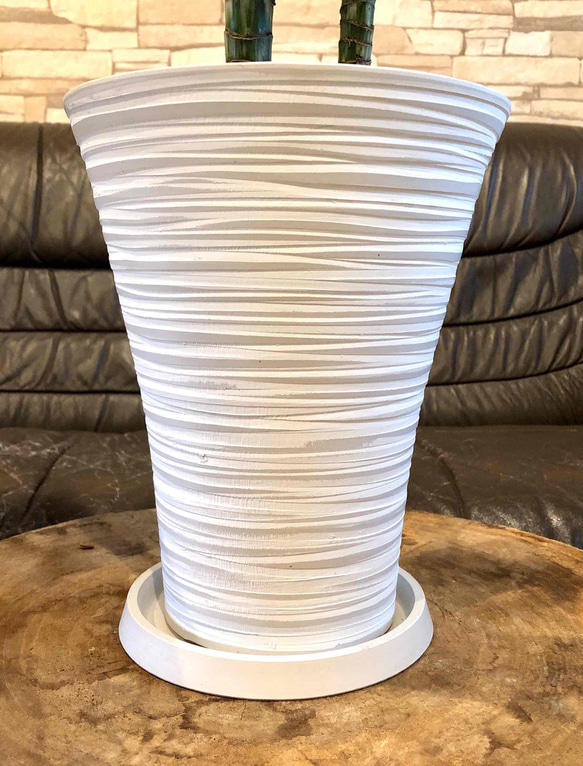 ドラセナ　ジェイドジュエル　おしゃれで軽量な鉢　高さ約90cm シックビル症候群 U1217674569(9295円)