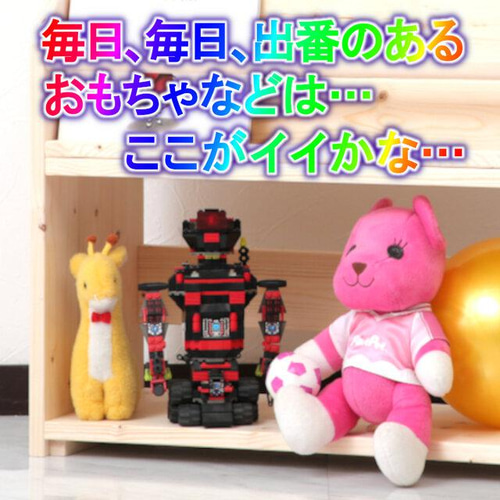 漆棚 絵本棚 W54cmA Maple poppo 無塗装 無垢材 完成品 子ども 収納