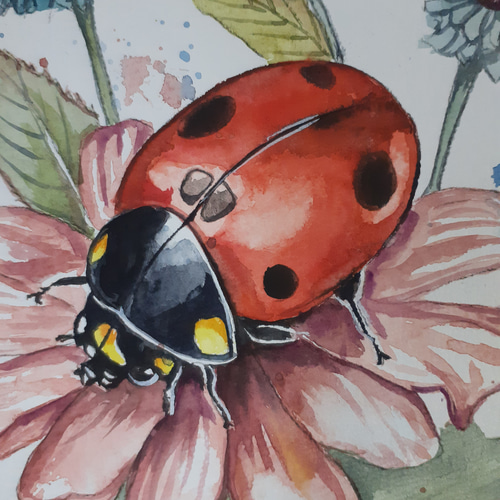 水彩画 花とてんとう虫 絵画 makochin 通販 17313504|Creema 水彩画 花とてんとう虫 絵画 makochin 通販 17313504|Creema