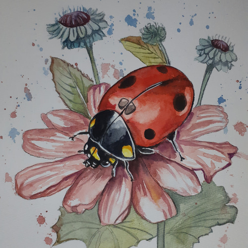水彩画 花とてんとう虫 絵画 makochin 通販 17313504|Creema 水彩画 花とてんとう虫 絵画 makochin 通販 17313504|Creema