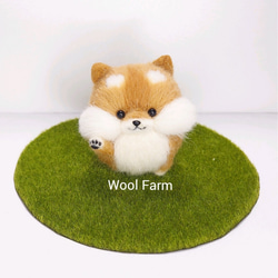 まんまる柴犬(お手)　～Wool Farm～　羊毛フェルト 1枚目の画像