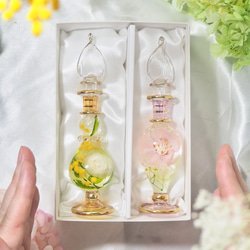 春色グラス　桜　ミモザ　Mサイズ2本セット　フラワーアートグラス ハーバリウム 手の中で楽しむお花　 1枚目の画像
