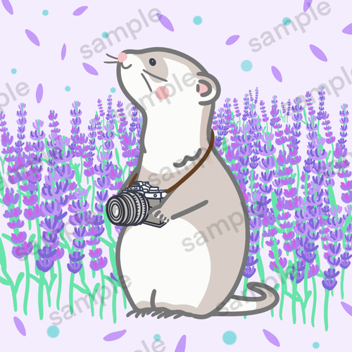 商用利用可 動物イラスト 挿絵 Web アイコン SNS幼児 アニマル ペット