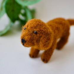 七夕飾り ダックス ✨ぬいぐるみ 羊毛フェルト ドール 7月 可愛い 楽天市場】ミニチュアダックスフント手作りキット【羊毛フェルト