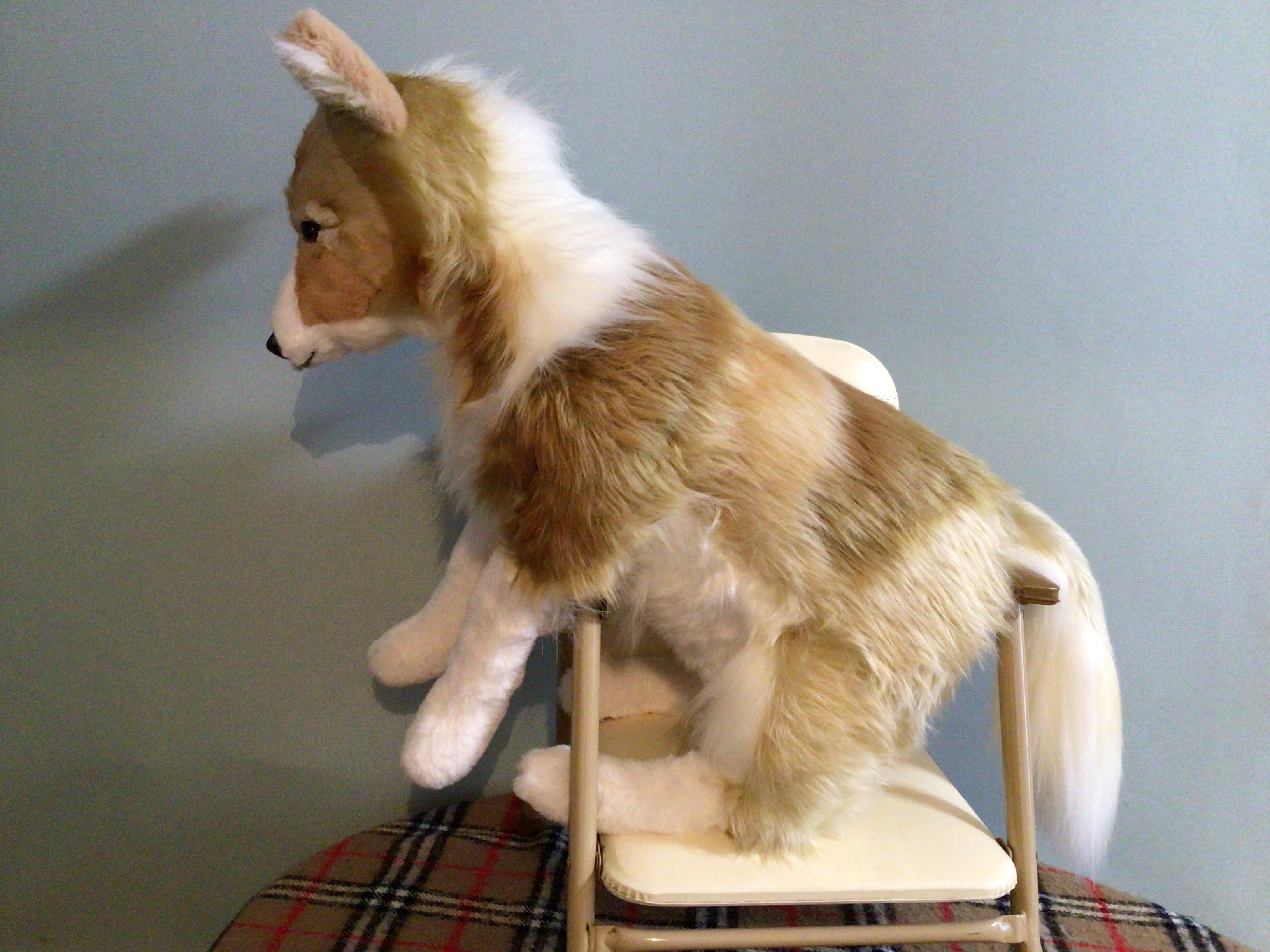 〈受注製作〉愛犬ちゃんオーダーメイド品(レッドボーダーコリー)縫いぐるみ　 60センチ