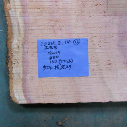 果樹【すもも・プラム（赤）／耳付き板】国産木材／木工クラフト・ウッドワーク No.24.02.14-⑫ 果物くだもの 2枚目の画像