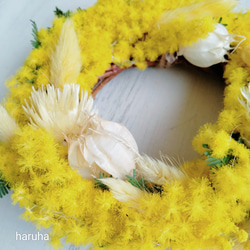 春を告げる花 ミモザのリース フレッシュミモザ ドライフラワー 3枚目の画像