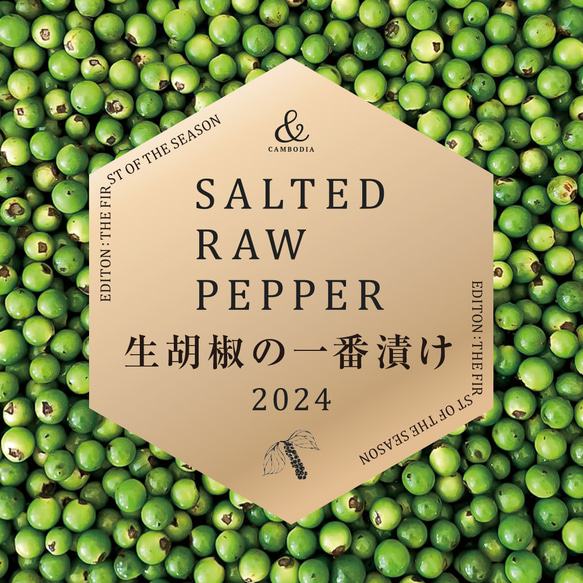 【一番漬け】＼24年収穫期 初物／ 初収穫＆初漬けした「生胡椒の一番漬け（塩漬け）」 3枚目の画像