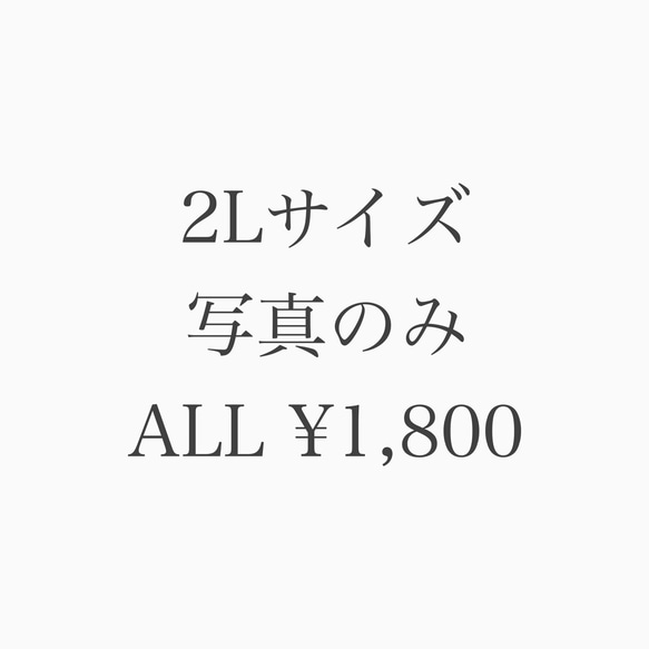 2Lサイズ・写真のみ【8周年記念感謝価格】 1枚目の画像