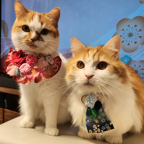 猫用♡和柄スタイ♡ ペット服・アクセサリー まろもこfam shop 通販  