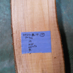 果樹【すもも・プラム（白）／共木】国産木材／木工クラフト・ウッドワーク No.24.02.14－⑮ 果物くだもの 2枚目の画像